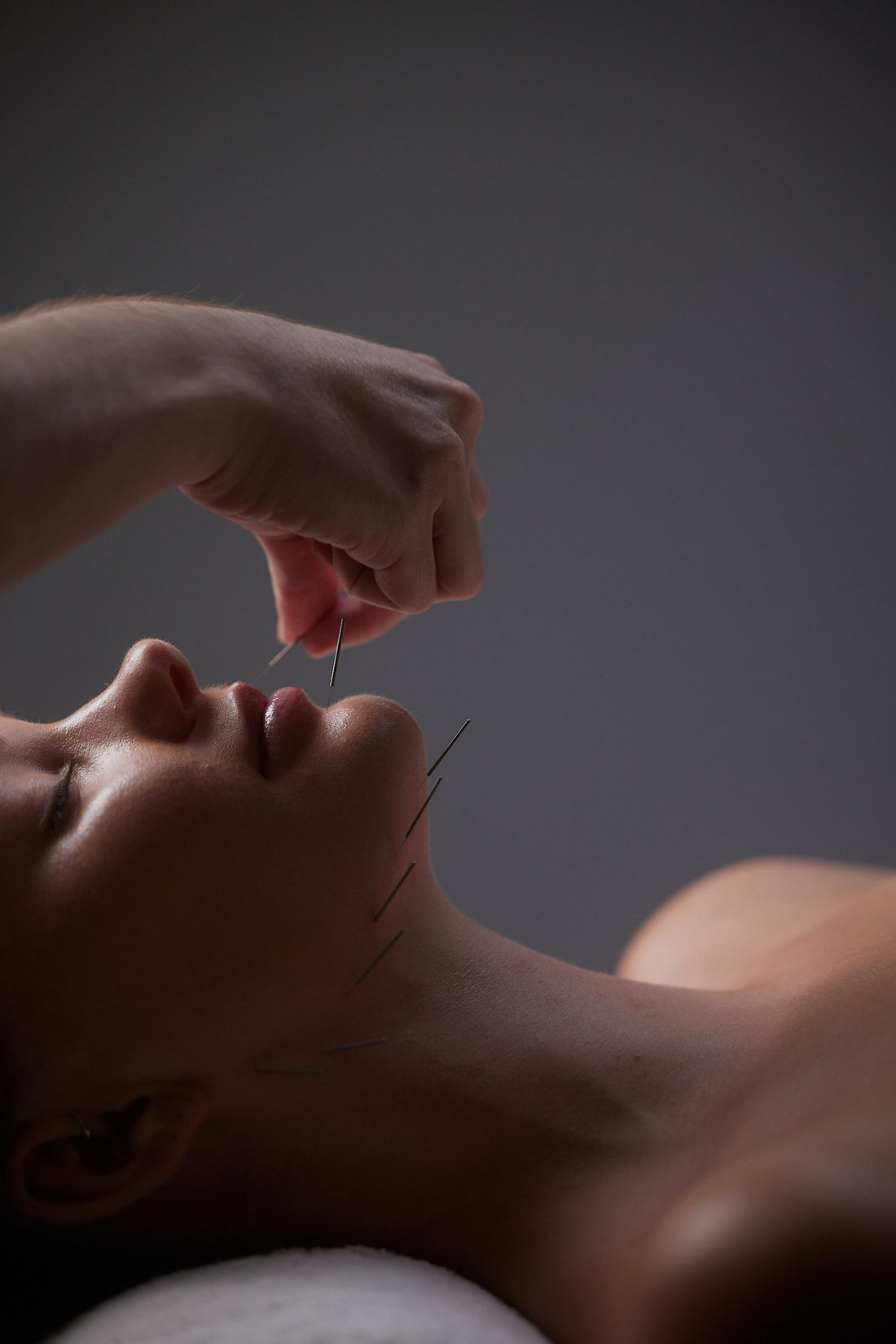 Chinese Herbs for Immune Support in Port Melbourne